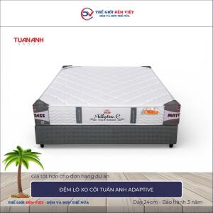 Đệm lò xo cối Tuấn Anh Adaptive